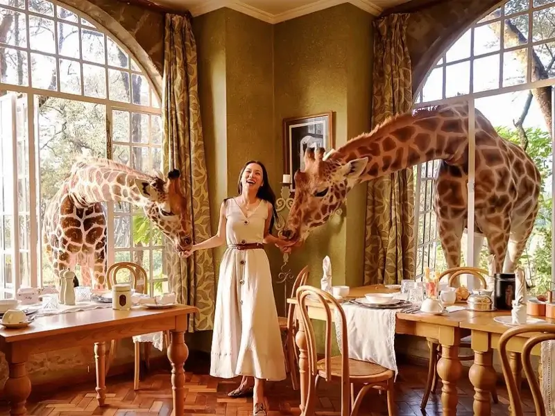 Giraffe Centre
