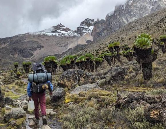 Mount Kenya National Park