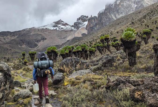 Mount Kenya National Park